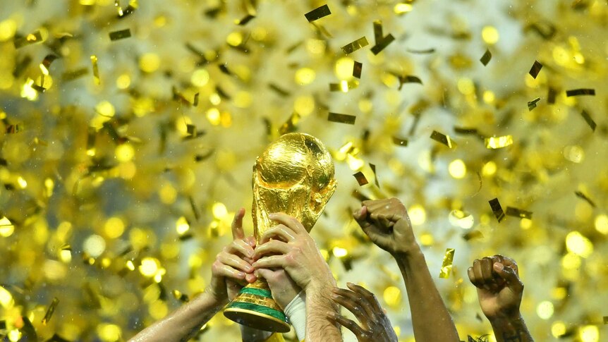 Players hold the World Cup trophy as they are showed with gold coloured confetti.