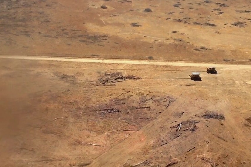 Land clearing concerns at Strathmore Station, Queensland