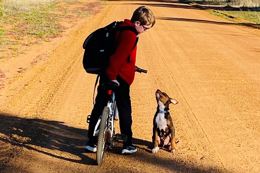 A boy with a red jumper stands on a bike and looks down at a little dog looking up at him.