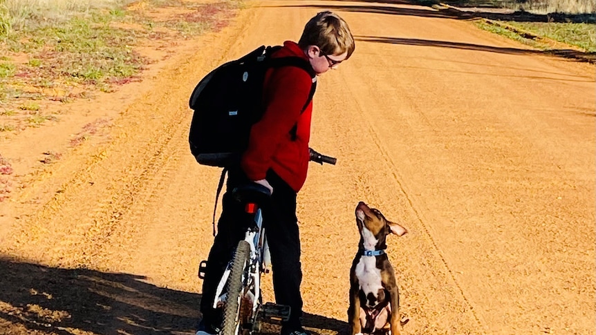 A boy with a red jumper stands on a bike and looks down at a little dog looking up at him.