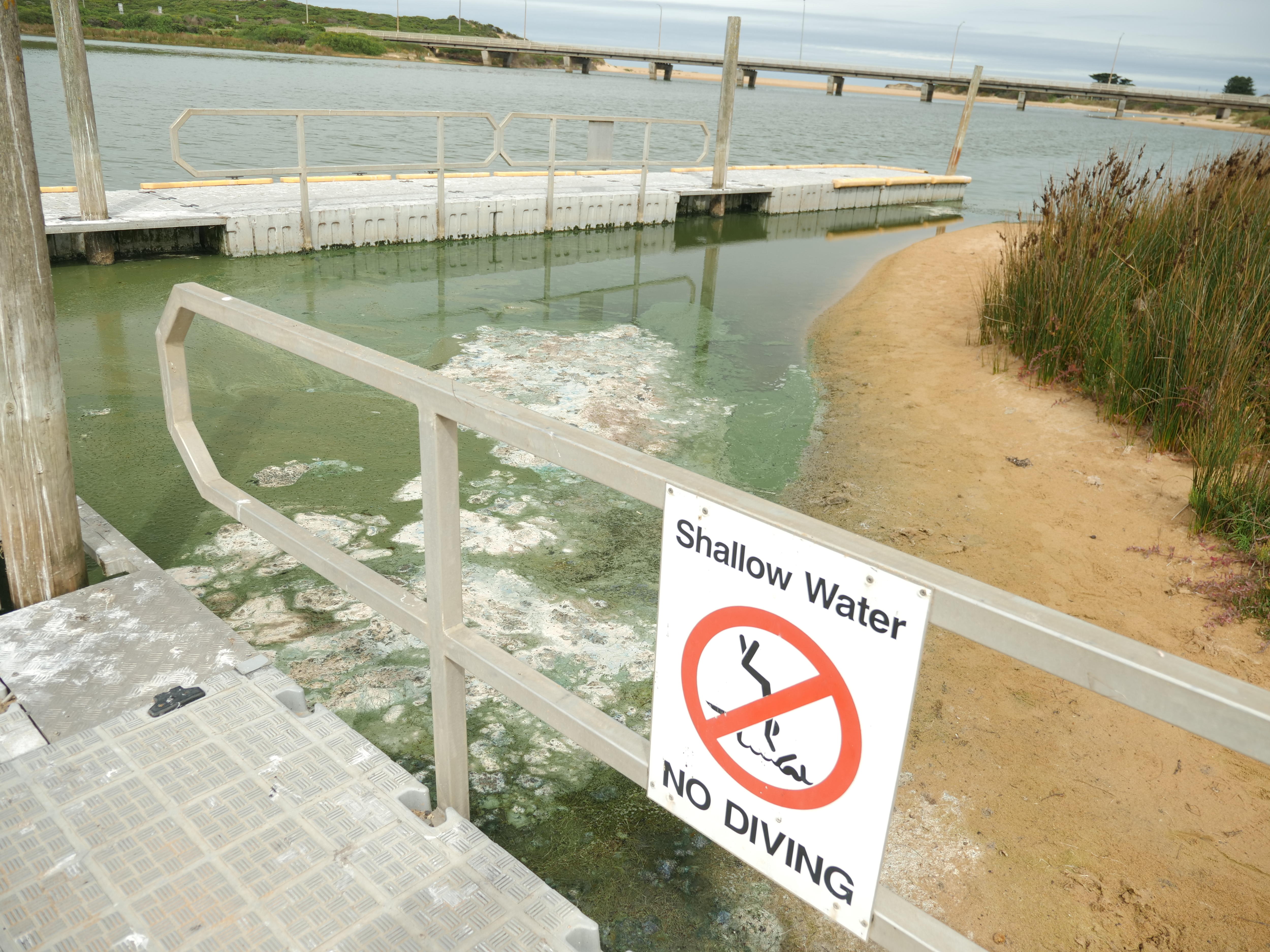Talks begin to save Victoria's Curdies River after bluegreen algae