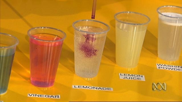 Drinking glasses in a row, filled with various liquids, labels read 'vinegar', 'lemonade', 'lemon juice', 'washing powder'