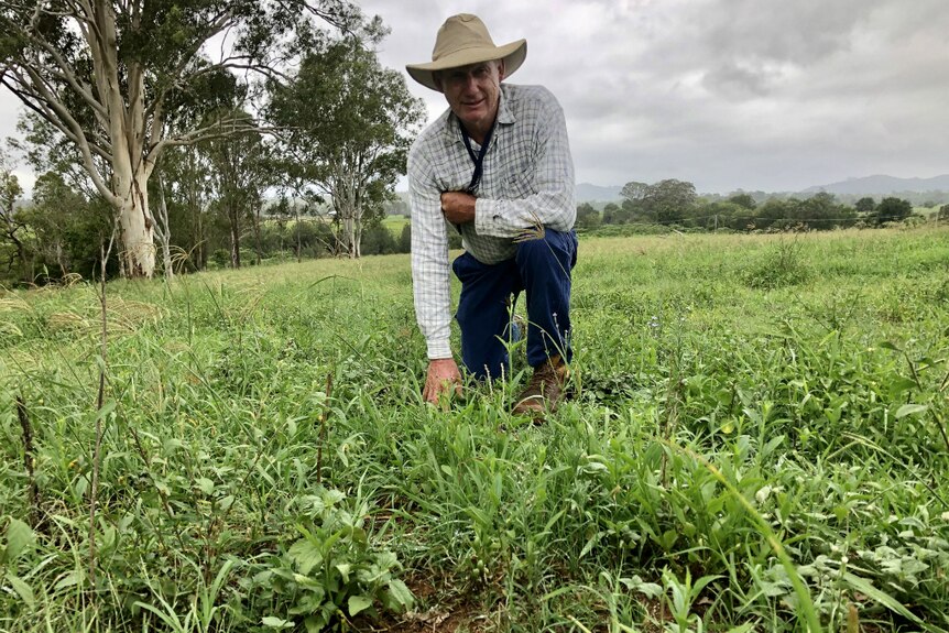 Mick Seeney crouching in a green paddock with weeds and grasses growing on bare earth.