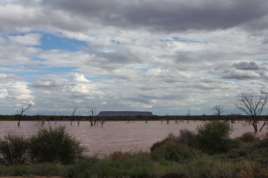 Rockies Dam at Curtin Springs is very full after heavy rainfall
