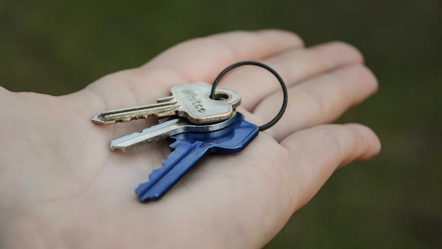 A person holds a set of three keys in the palm of their hand against a blurred green background