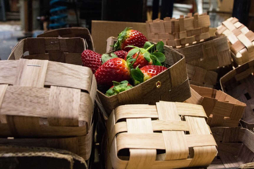 Strawberries in a punnet made of recycled timber products.