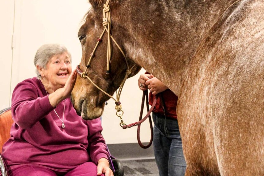 An older woman talks to a horse inside the nursing home where she lives.