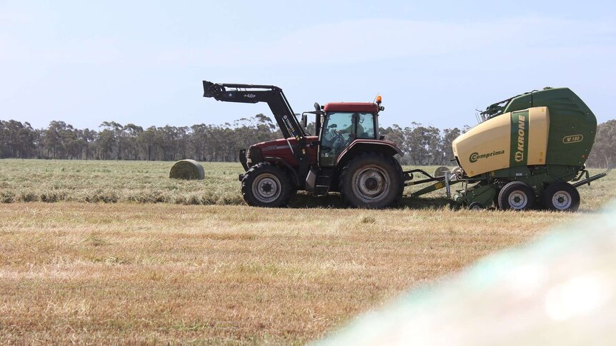 A tractor drives past, baling up the silage.