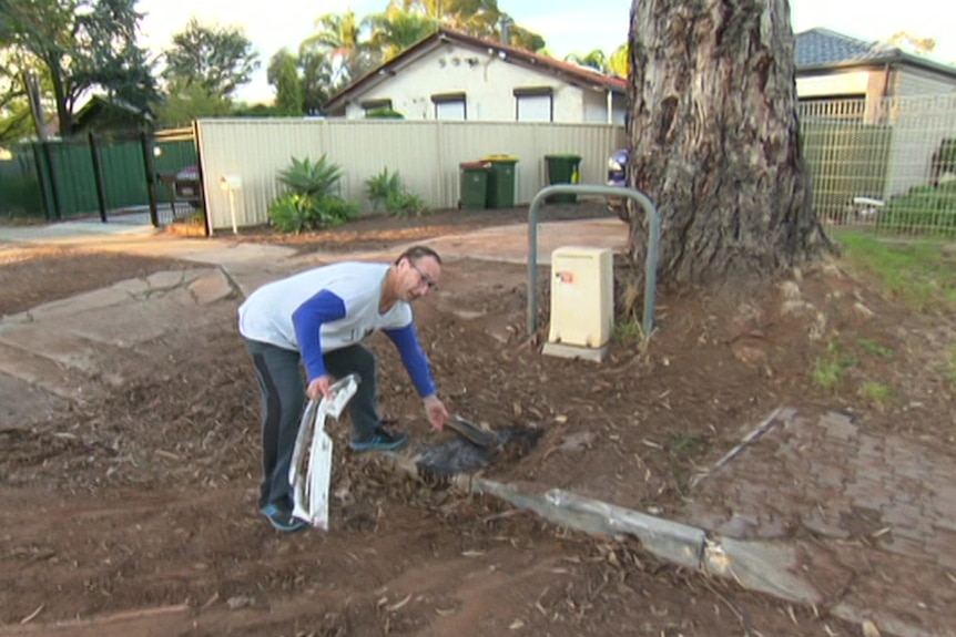 A man picking up a car part from near a tree