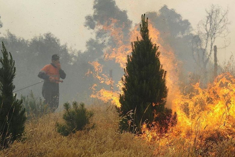 A Christmas tree is burning and a man is trying to put it out