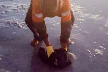 Aboriginal man Frankie Shoveller picks up a human skull wearing gloves