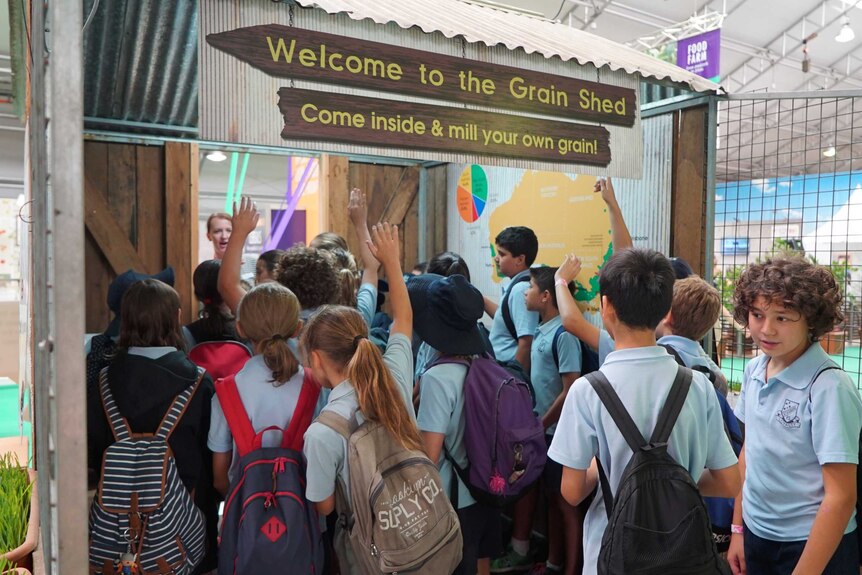 School children visit the grain shed at Sydney's Royal Easter Show, which begins on Thursday March 17 2016.