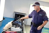 A sniffer dog on an airport luggage carousel being led by its handler from AFP