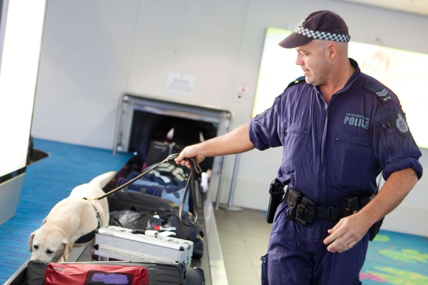 A sniffer dog on an airport luggage carousel being led by its handler from AFP