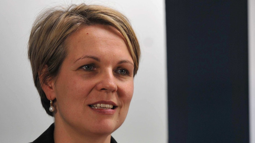 Tanya Plibersek