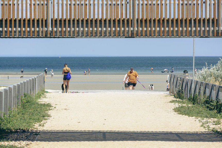 Two people and a dog walk under a bridge, towards the beach