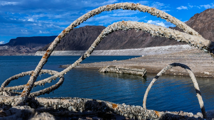 A cable covered in barnacles and rusted arches over water with moutains, lake in background. The remains of a boat in water. 