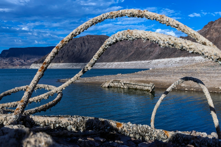 A cable covered in barnacles and rusted arches over water with moutains, lake in background. The remains of a boat in water. 