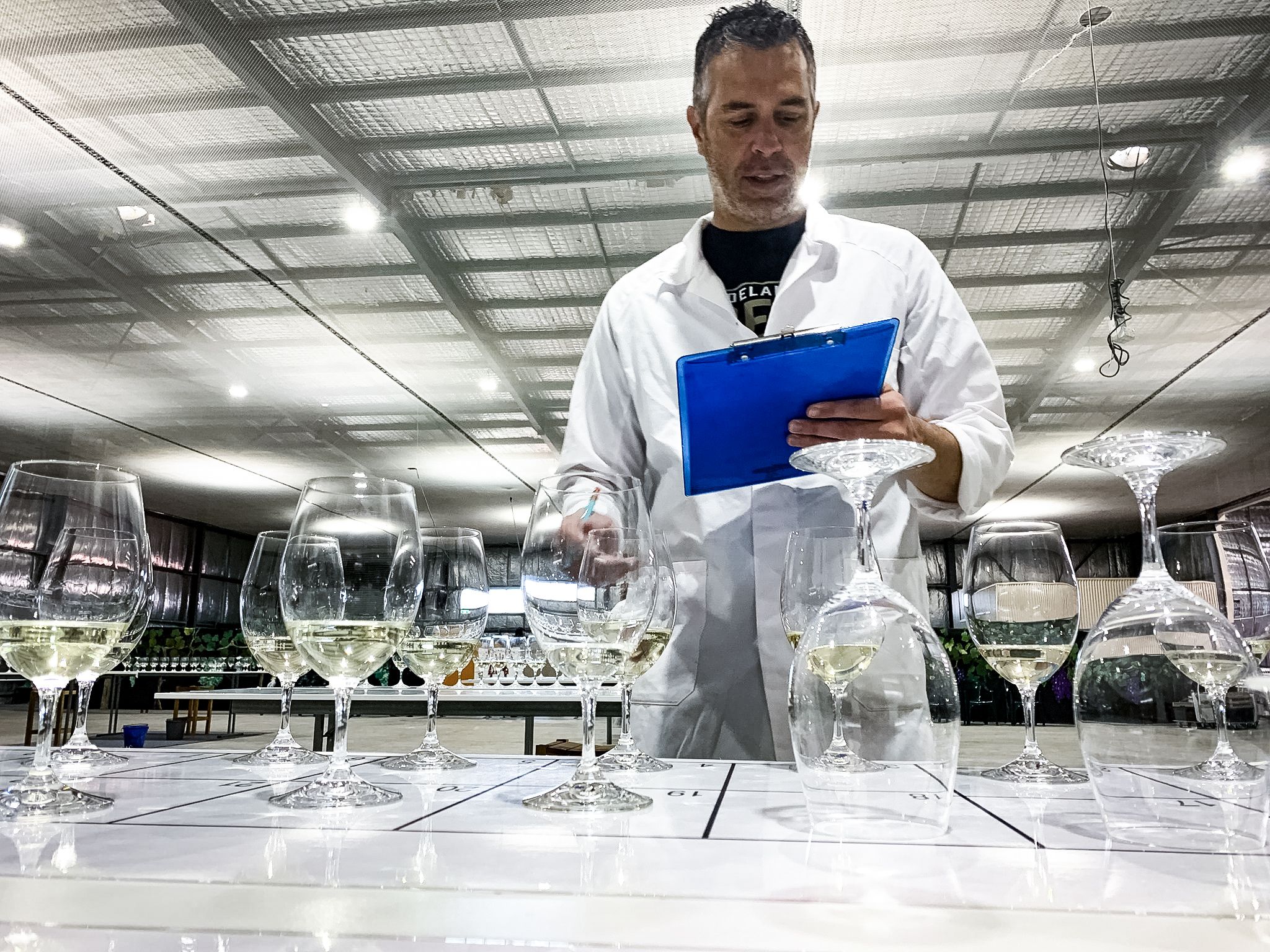 Stanthorpe wine awards show small vineyards still capable of producing