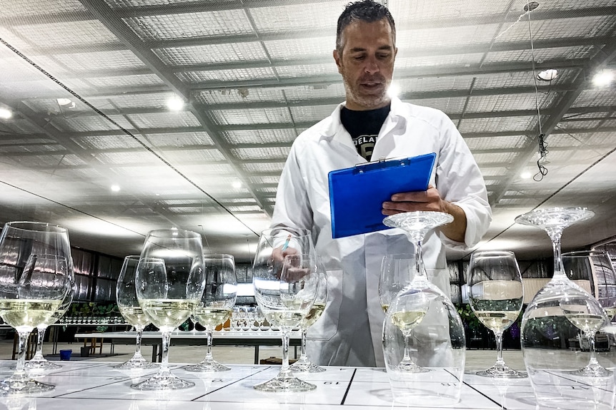 man with blue clipboard looking at wine