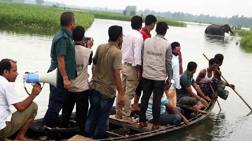 Environment officers look on as an elephant stands in flooded terrain in Bangladesh.