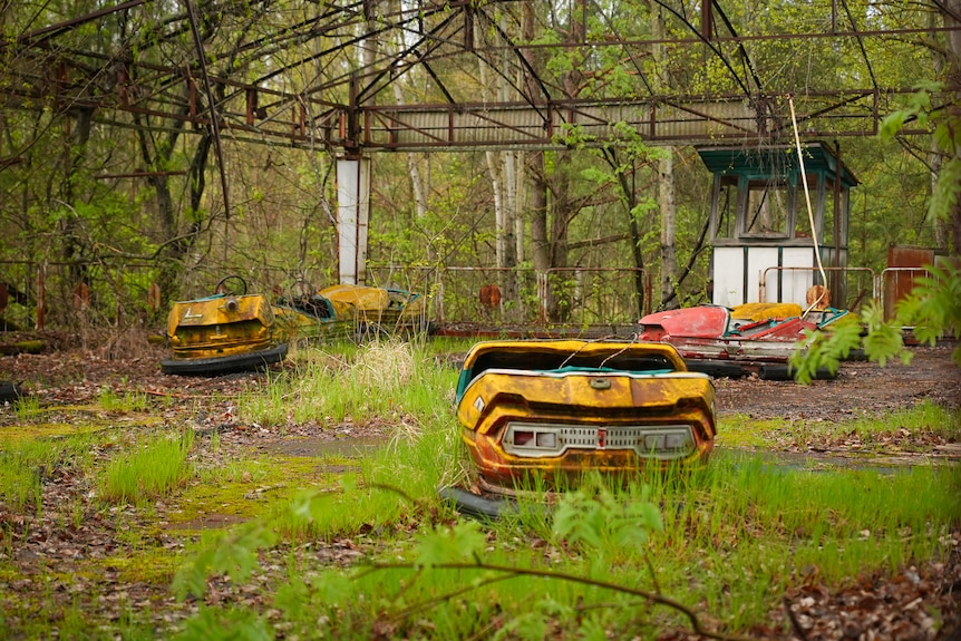 Rusted out dodgem cars sit decaying at an amusement park site, with grass growing through the  surface