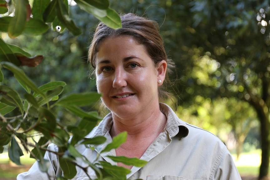 Michelle Ninnes stands next to macadamia tree