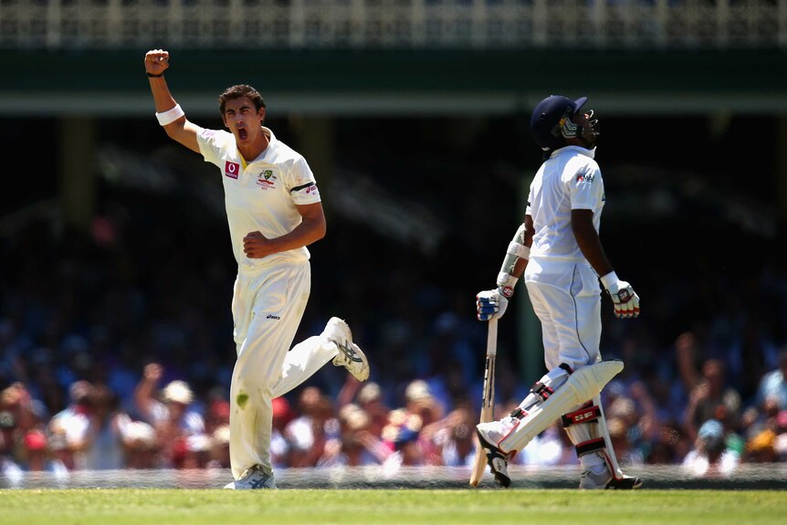 Crucial wicket ... Mitchell Starc celebrates Mahela Jayawardene's dismissal.