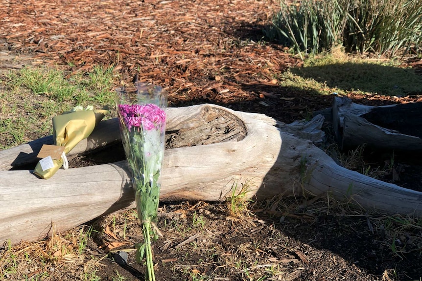 Two bunches of flowers on a log.