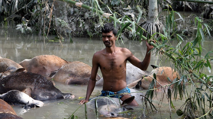 Thousands are fighting for survival after Cyclone Sidr tore through Bangladesh.