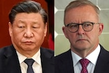 A close up of Xi Jinping and Anthony Albanese looking concerned.