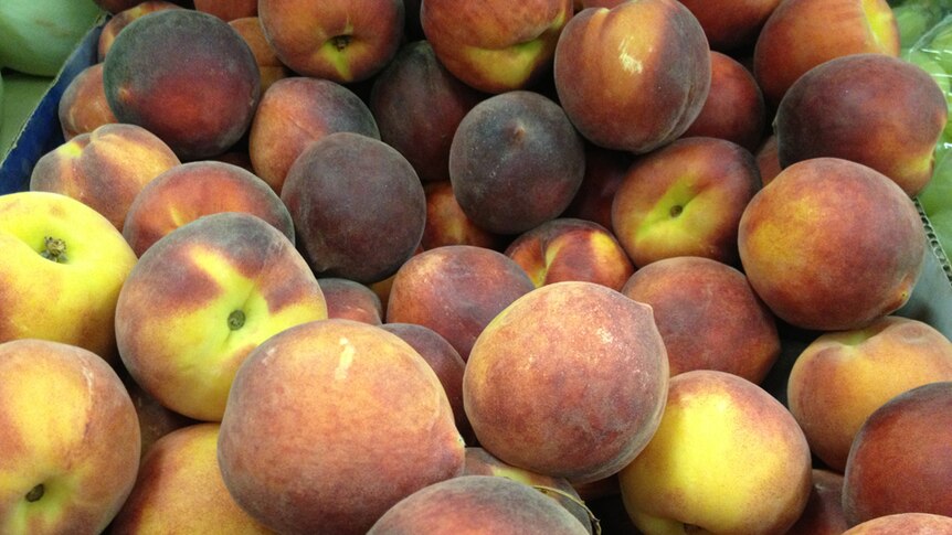 Australian peaches