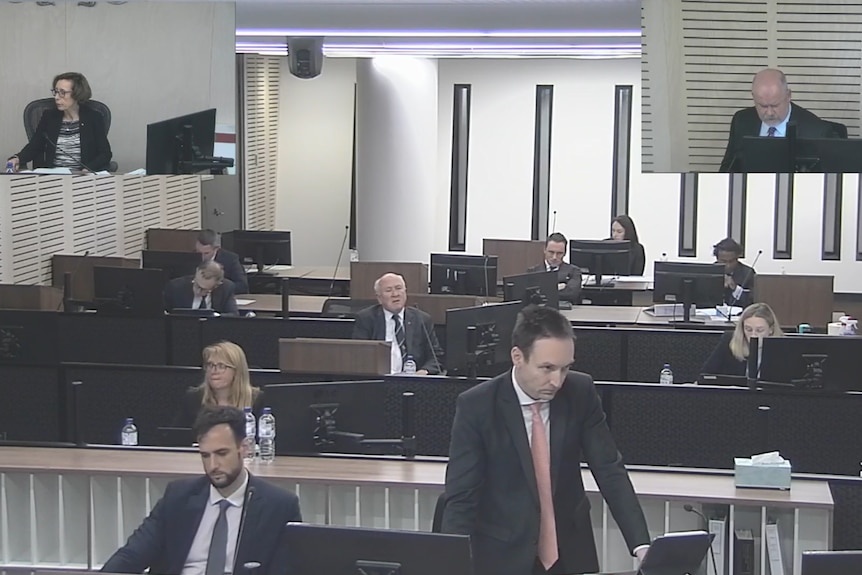 Series of men and women in suits sitting behind rows of desks.