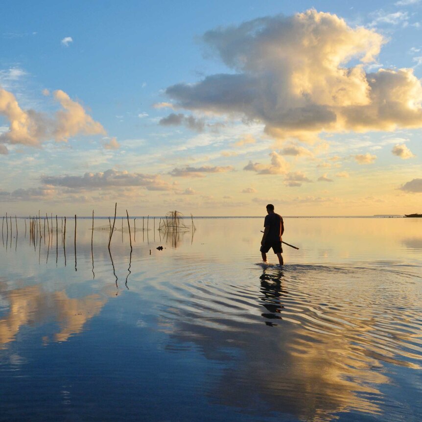 A man walking in the sea at sunset in Nuku'alofa, Tonga.