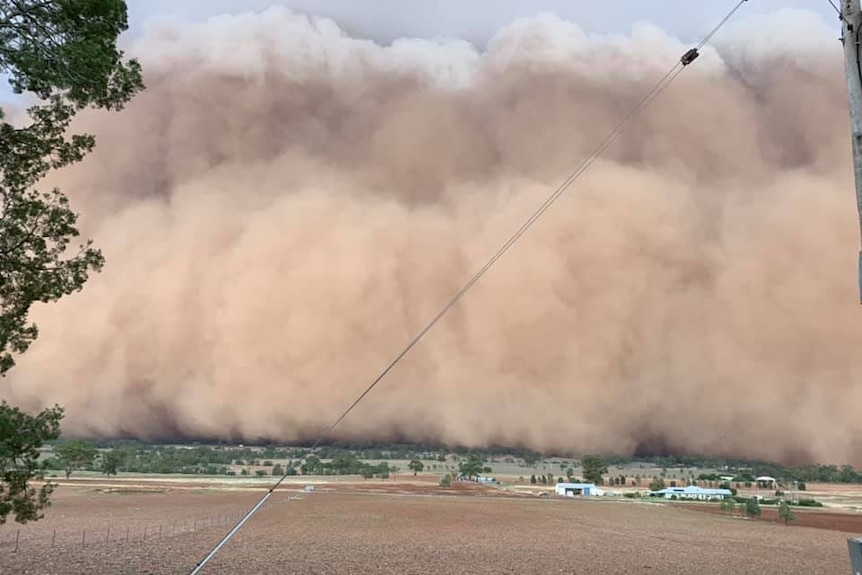 An enormous cloud of brown dust rolling towards a town and dry paddocks