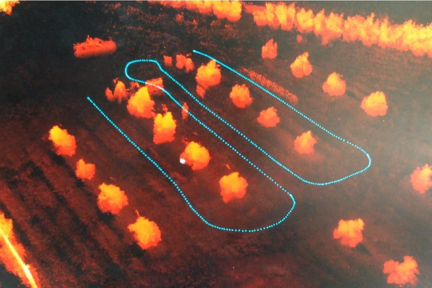 orange spots mark trees in rows while a blue line shows the path the robot took