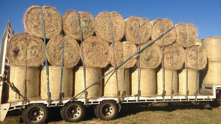 Semi-trailer loaded with hay bales.