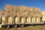 Semi-trailer loaded with hay bales.