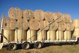 Semi-trailer loaded with hay bales.