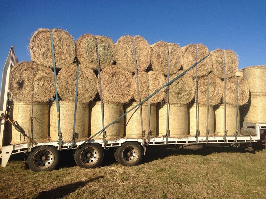 Semi-trailer loaded with hay bales.