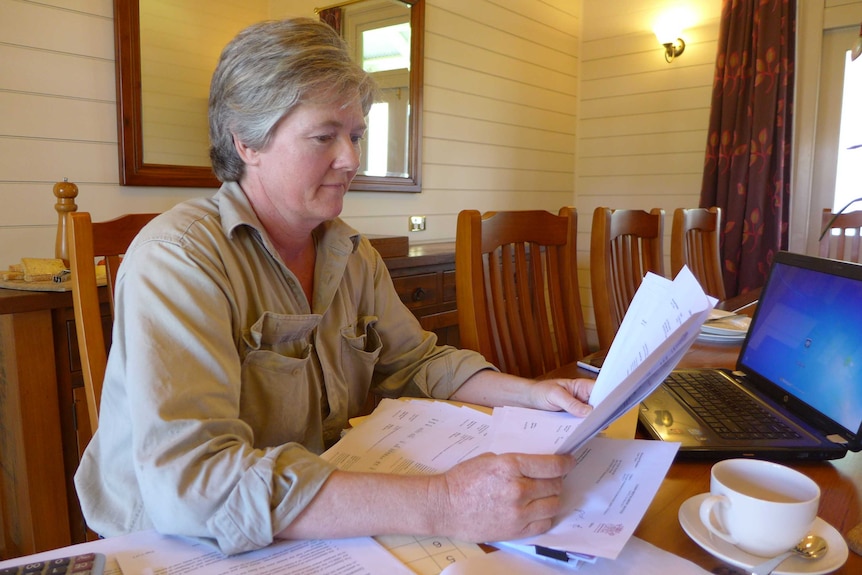 A grazier examines her bills
