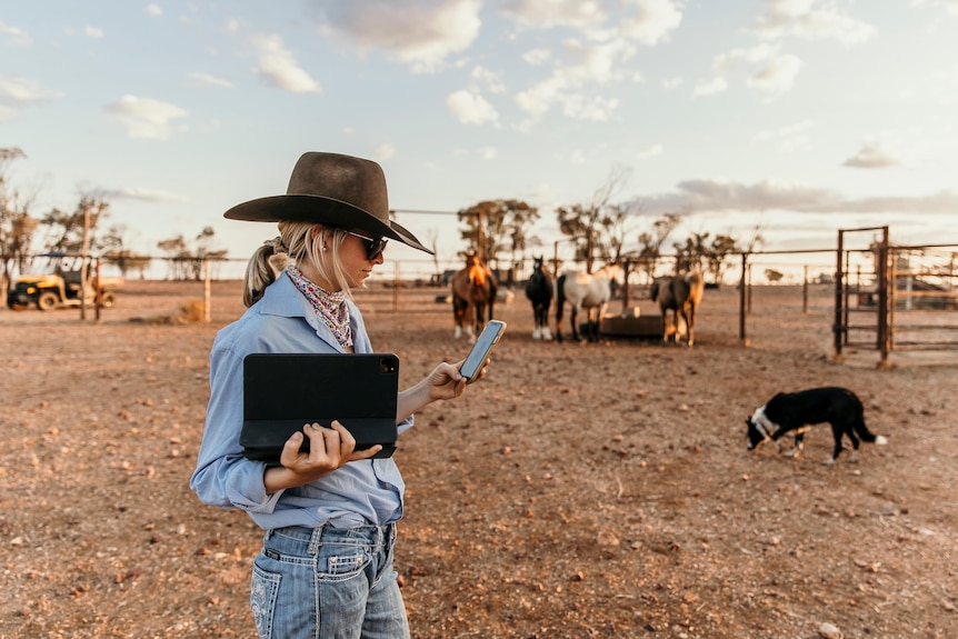 A woman in a blue shirt and akubra holds a laptop and phone in a yard with horses.