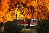 A Country Fire Authority truck is pictured in front of flames while fighting a Bunyip bushfire
