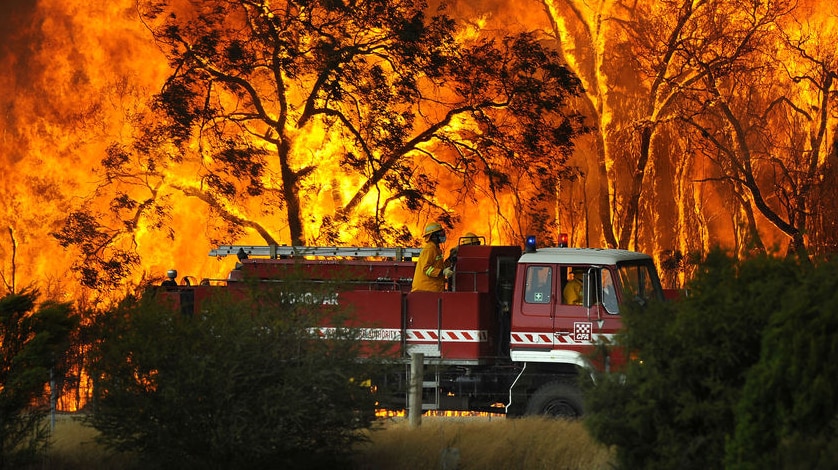 A Country Fire Authority truck is pictured in front of flames