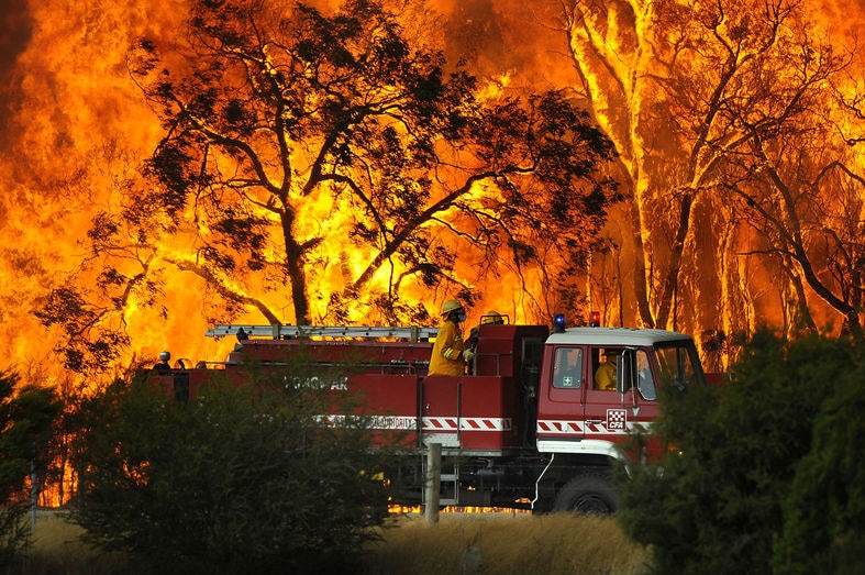 A fire truck stands in front of blazing scrubland.