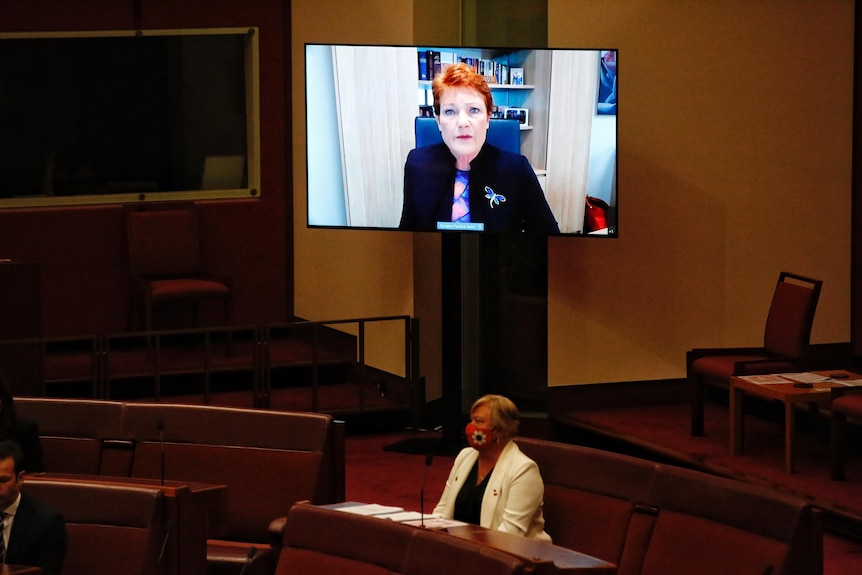 Pauline Hanson speaks in the senate via a video link
