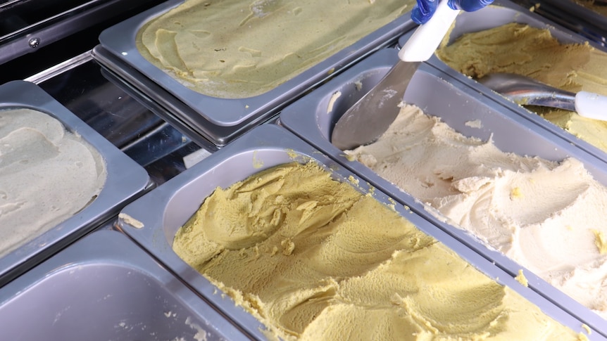 Yellow and white vegetable flavoured icecream
