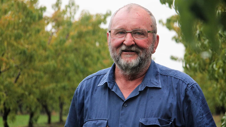 Ed Biel in his orchard in Oakdale