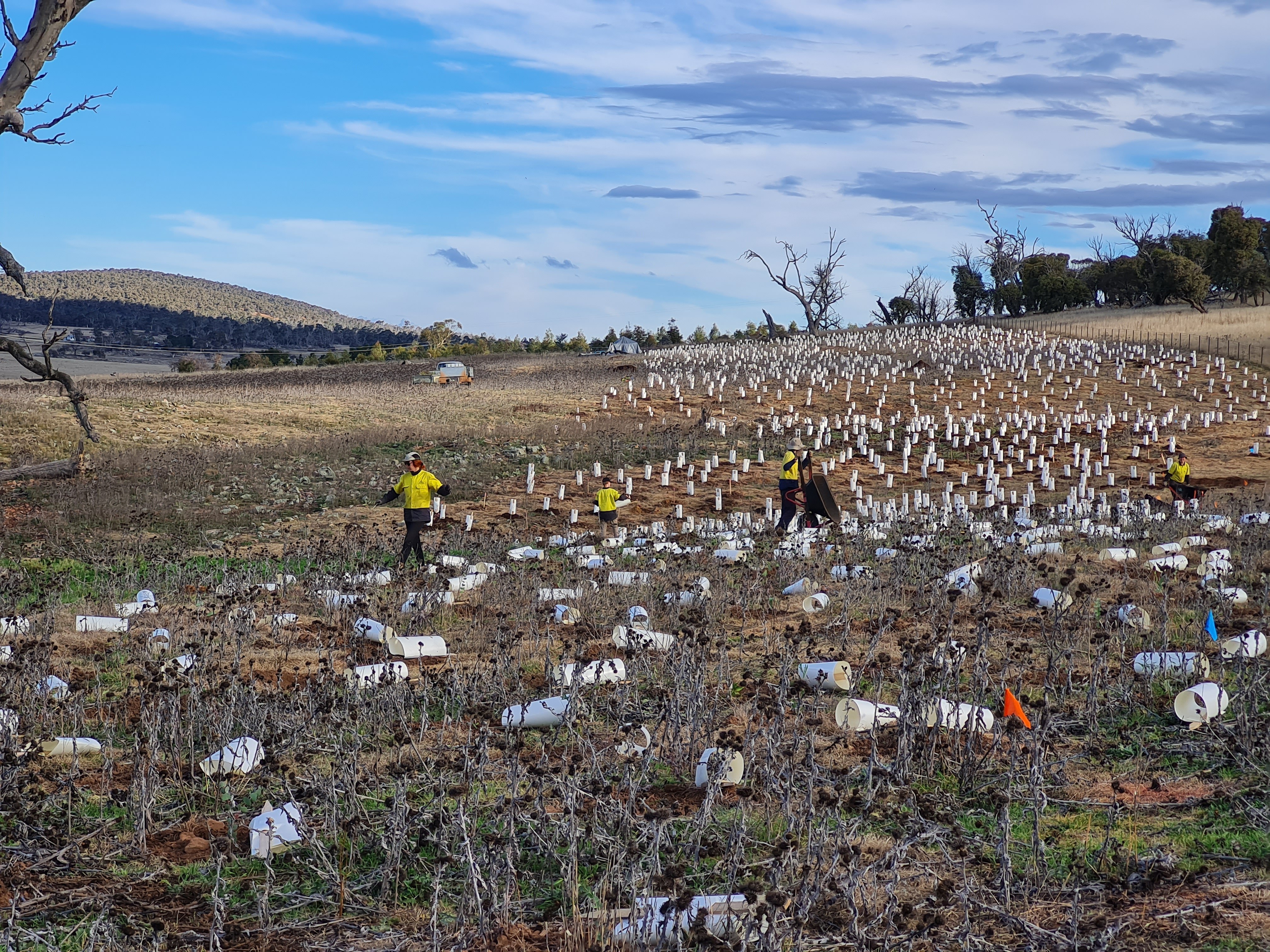 Four people in yellow vests working on dry, brown farmland 