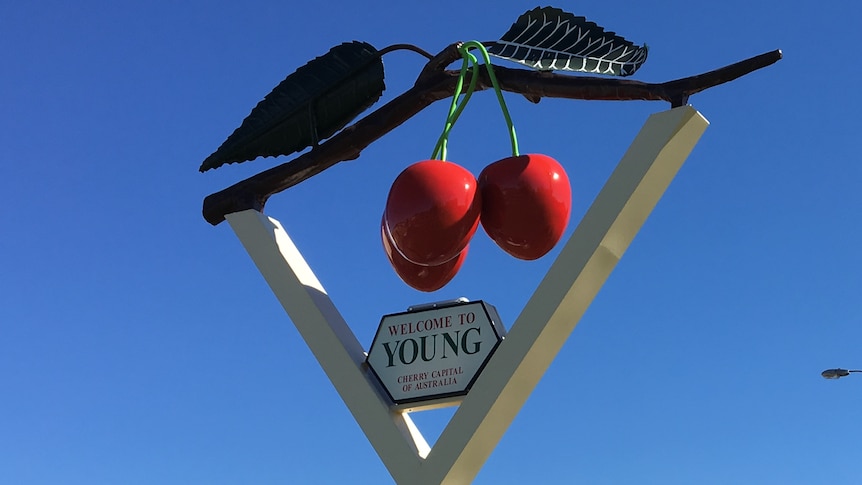 A signpost with the word 'Young' suspended below three large red fibreglass cherries and two green leaves.